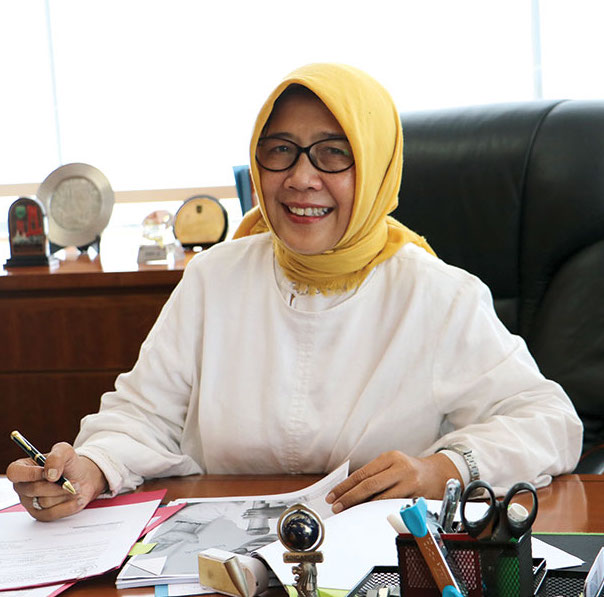 Ir. Sri Renani Pantjastuti MPA